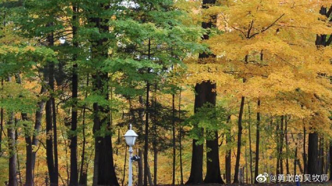 ks自助下单便宜